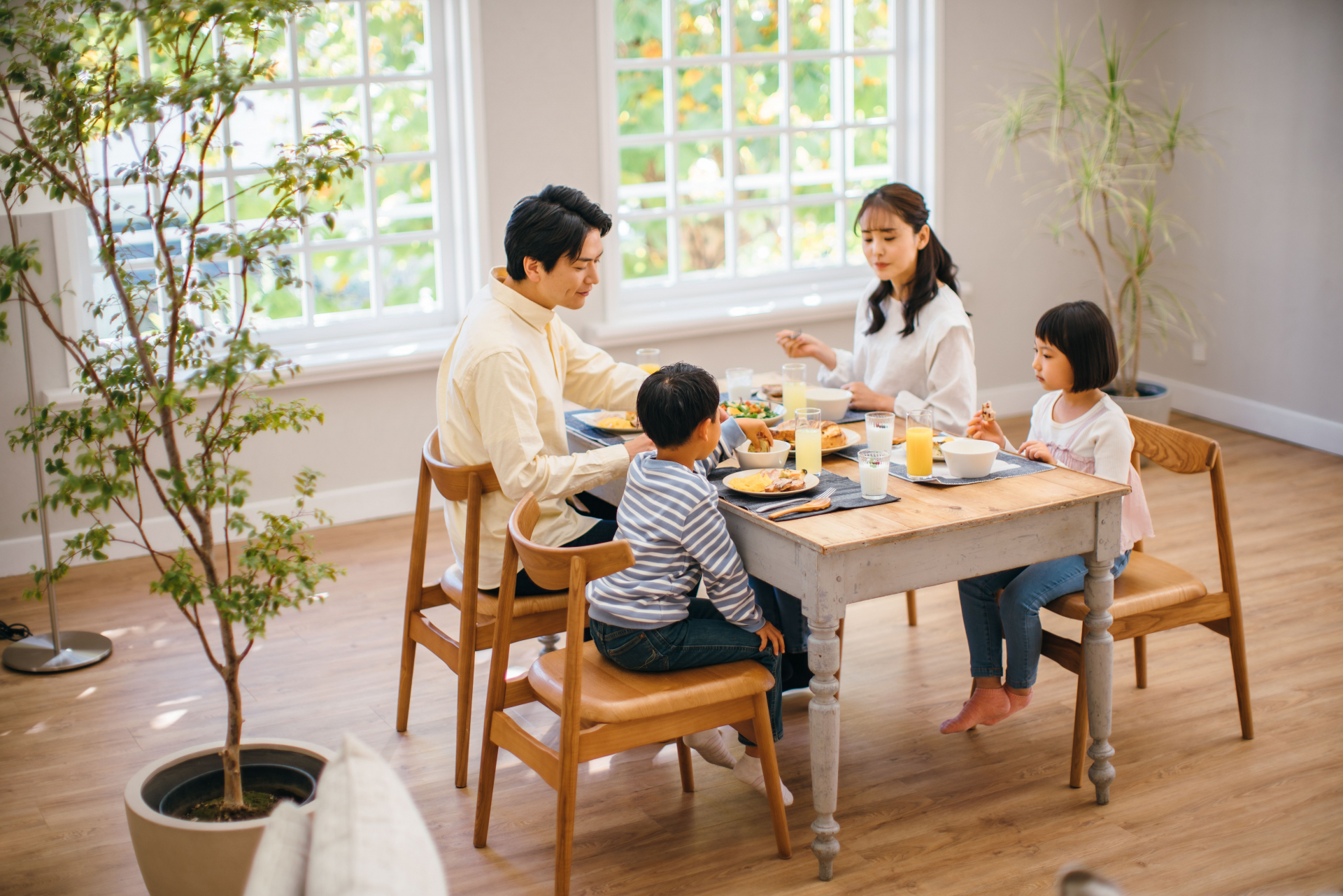 ダイニングで使う椅子の選び方 ～座り心地とは～