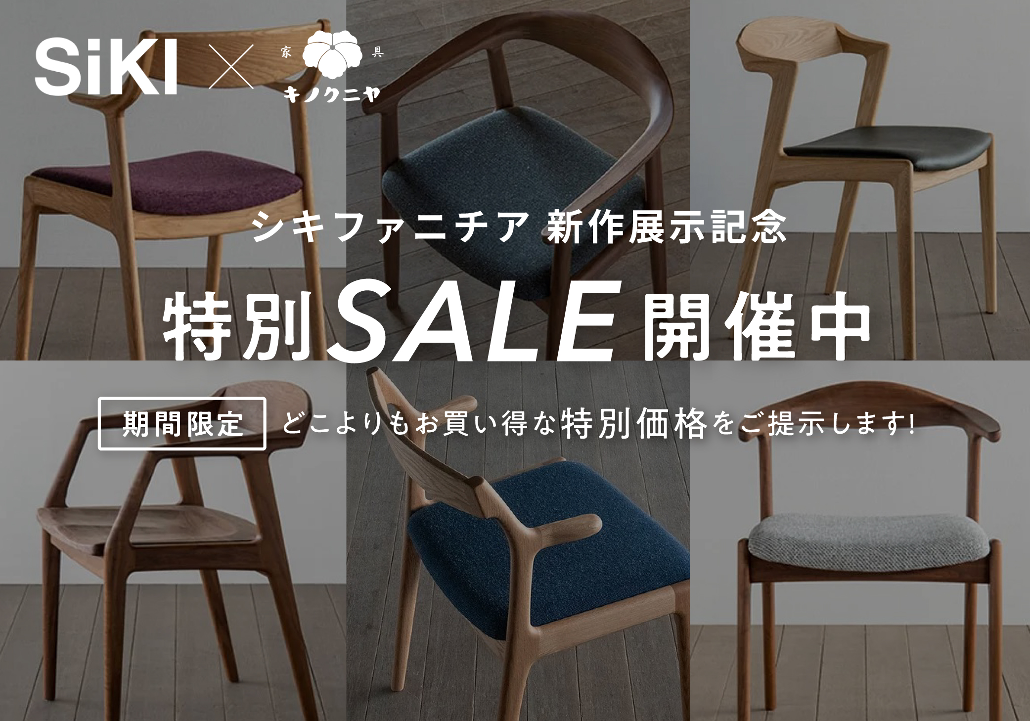 シキファニチア 特別SALE