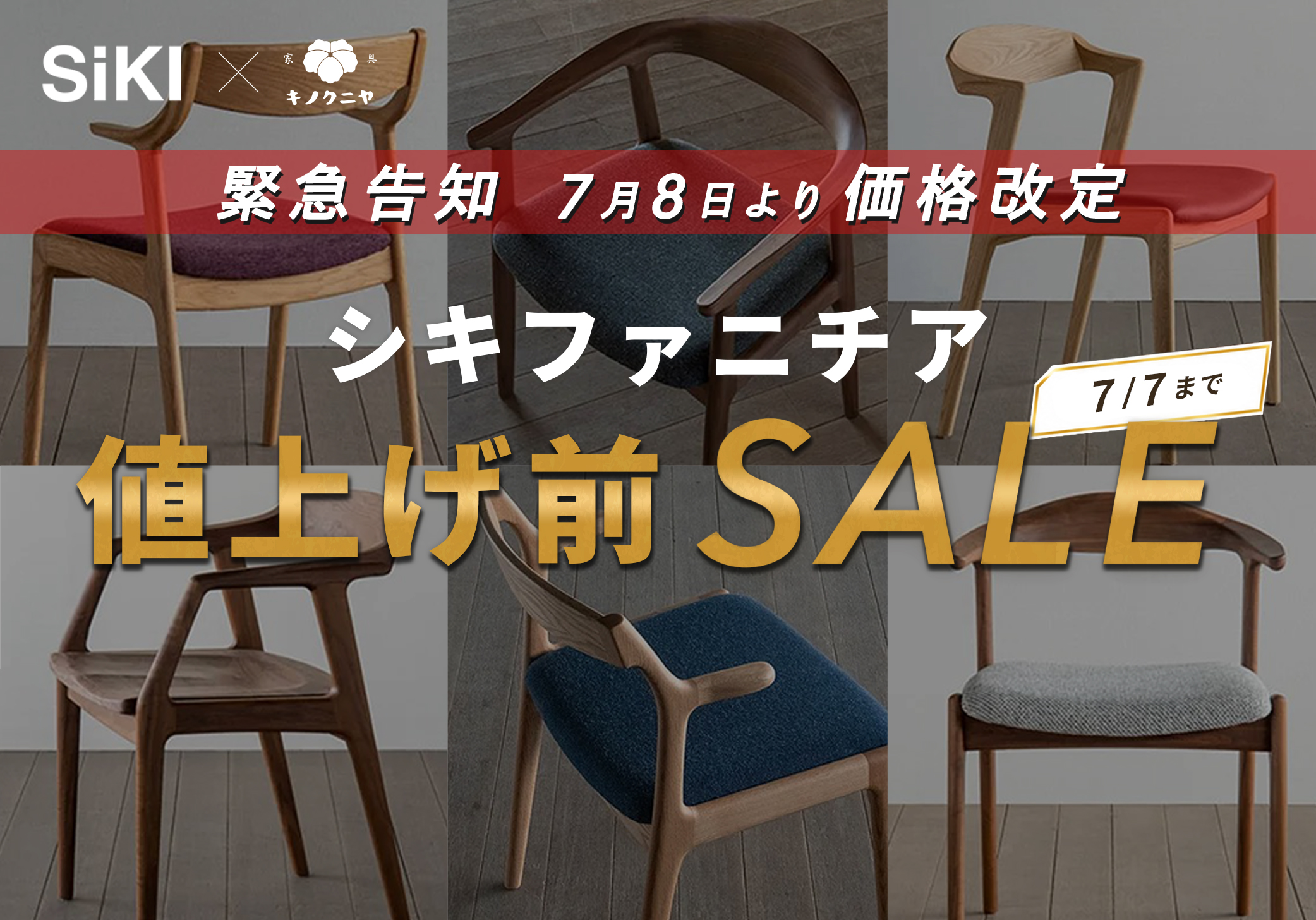 シキファニチア 特別SALE