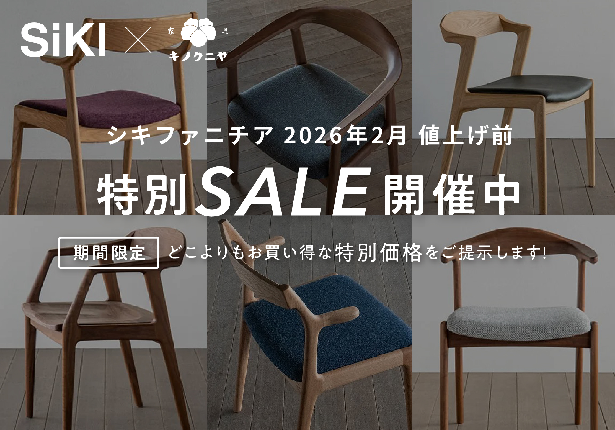 シキファニチア 特別SALE